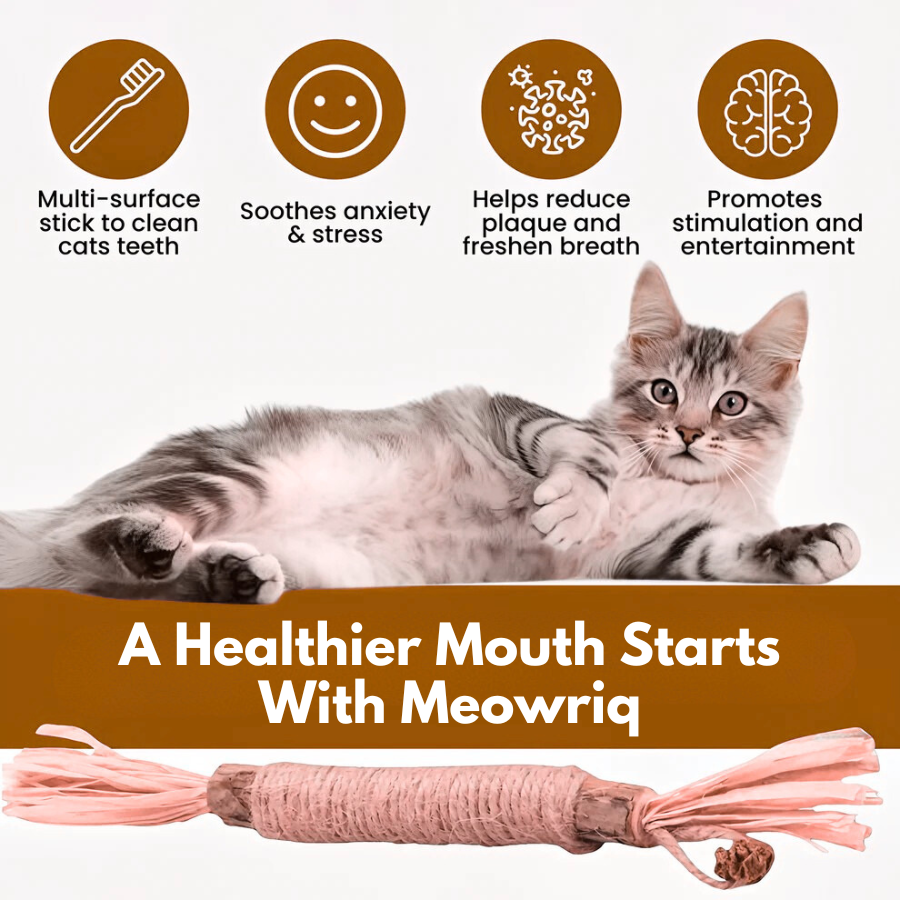 Meowriq Natural Silvervine Dental Sticks