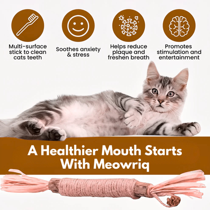 Meowriq Natural Silvervine Dental Sticks